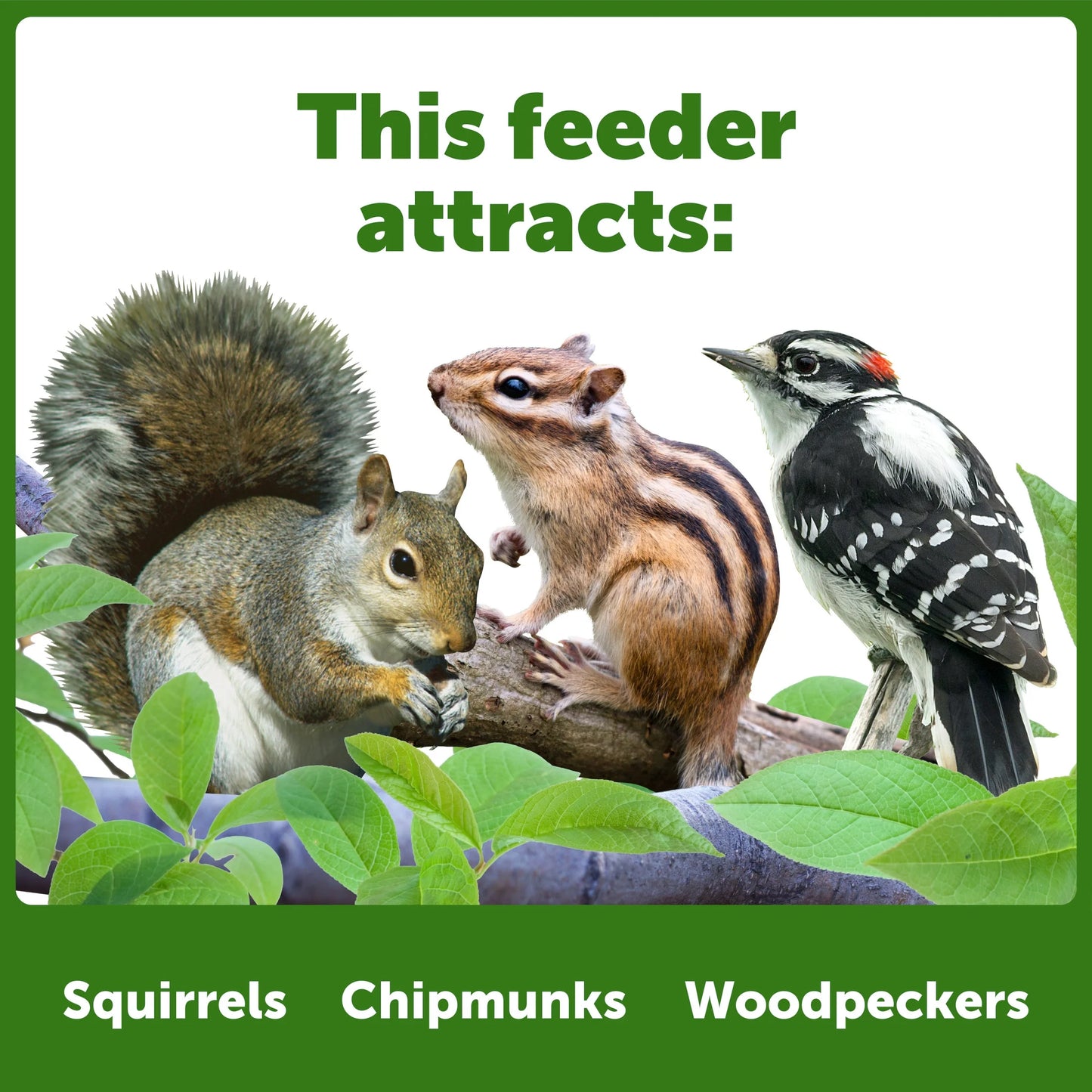 Red Cedar Picnic Table Squirrel Feeder, Holds Corn, Nuts and Seeds, 1 Table, 9"X10"X9"