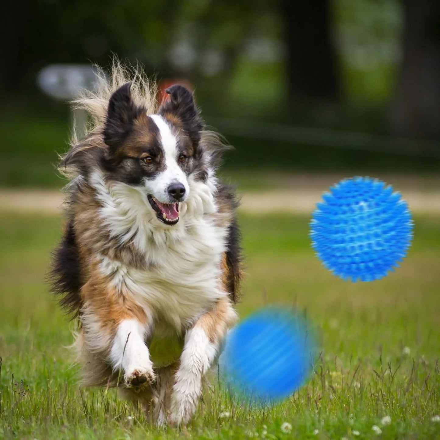 6 Pack 3.5" TPR Dog Chew Toys Squeaky Balls for Medium and Large Dogs