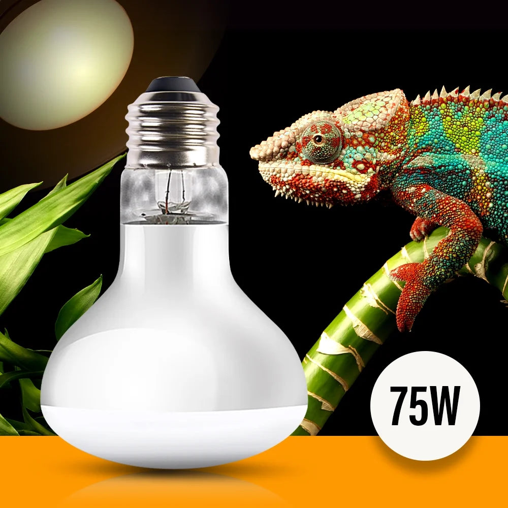 Reptile Heat Lamp Bulb 75 Watt