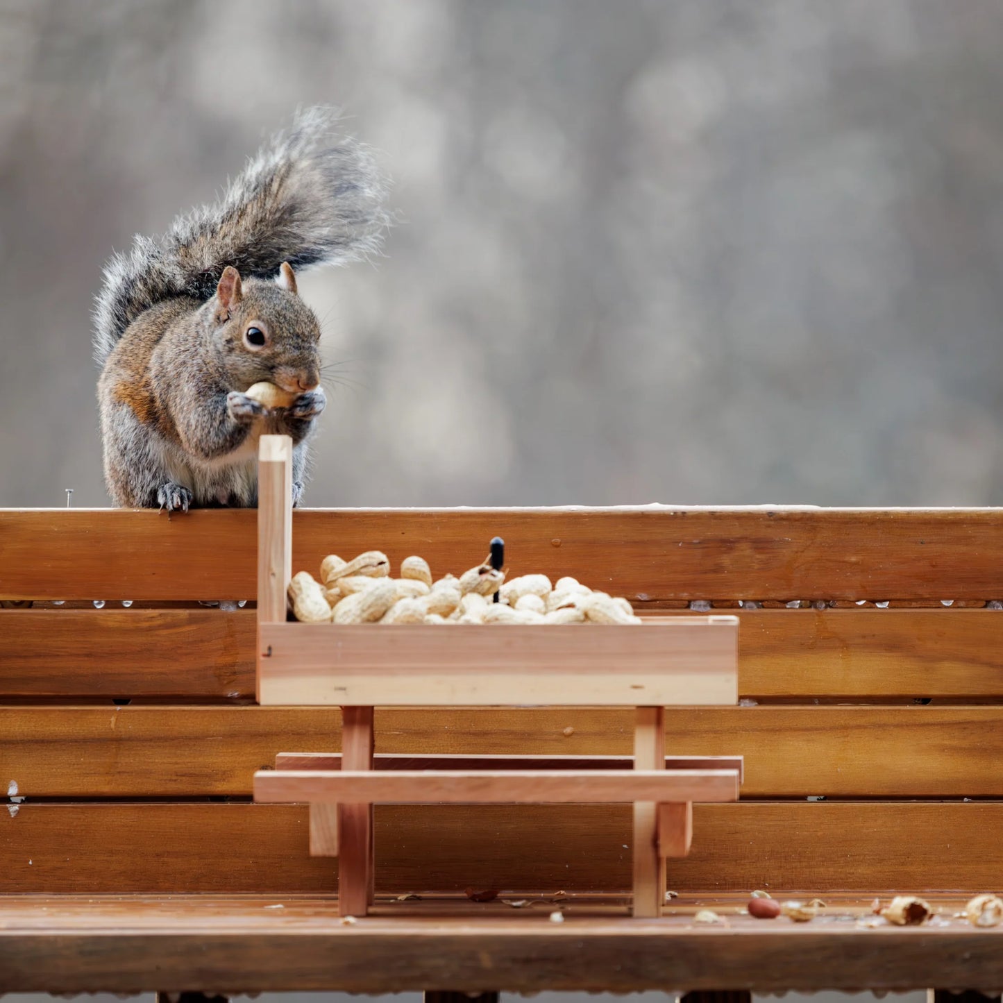 Red Cedar Picnic Table Squirrel Feeder, Holds Corn, Nuts and Seeds, 1 Table, 9"X10"X9"