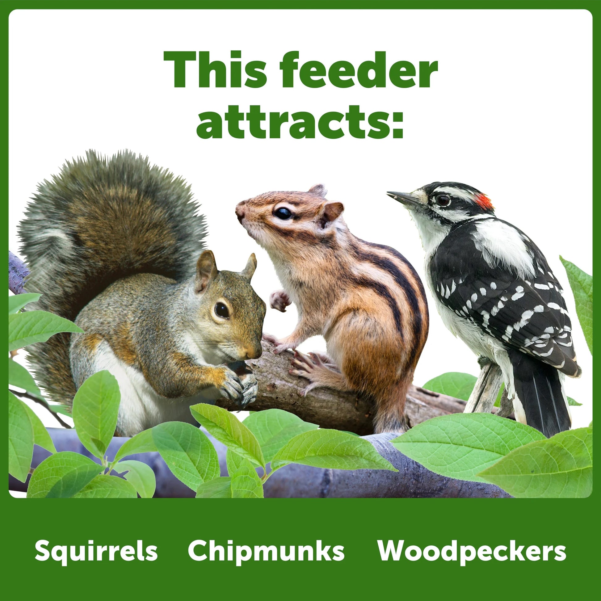 Red Cedar Picnic Table Squirrel Feeder, Holds Corn, Nuts and Seeds, 1 Table, 9"X10"X9"
