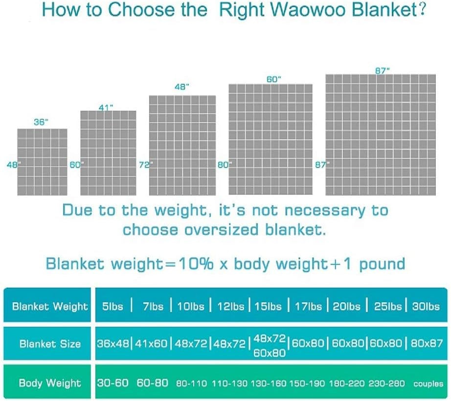 Adult Weighted Blanket Queen Size (15Lbs 60"X80") Heavy Blanket with Premium Glass Beads, (Dark Grey