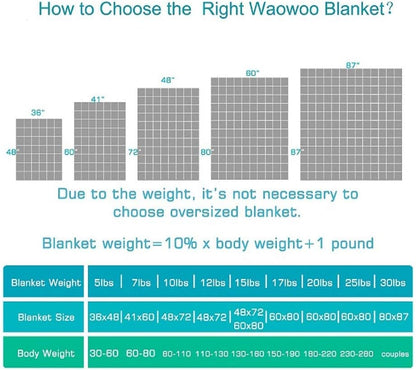 Adult Weighted Blanket Queen Size (15Lbs 60"X80") Heavy Blanket with Premium Glass Beads, (Dark Grey