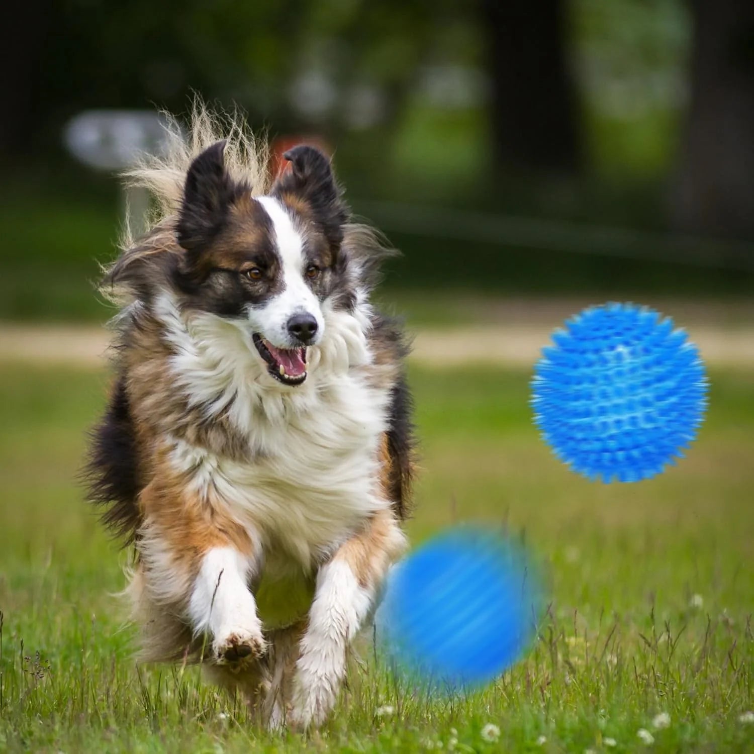 6 Pack 3.5" TPR Dog Chew Toys Squeaky Balls for Medium and Large Dogs